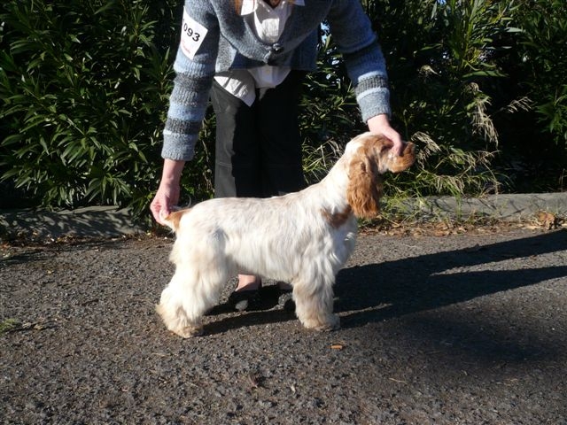 Publication : des Hauts de Clemalive