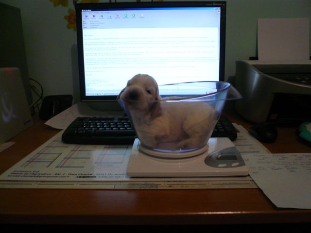 Publication : des Hauts de Clemalive