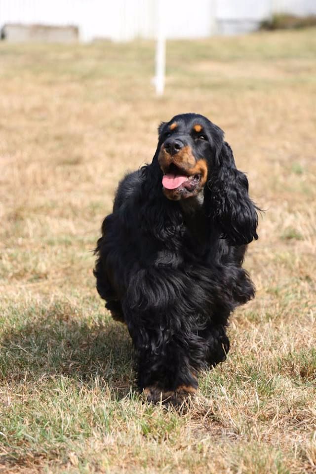 Publication : des Hauts de Clemalive