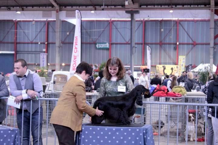 Publication : des Hauts de Clemalive