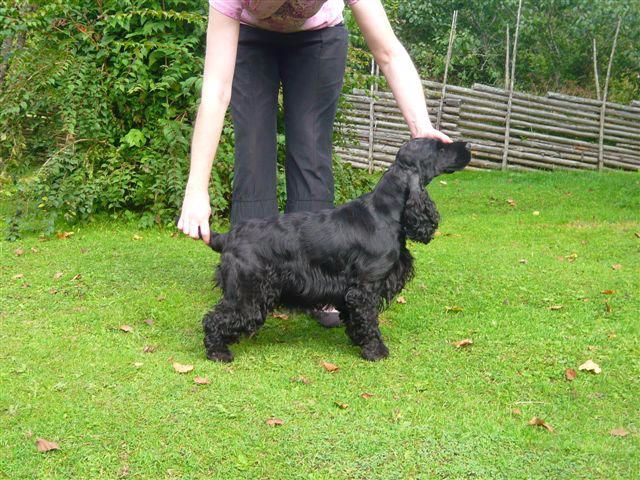 Publication : des Hauts de Clemalive