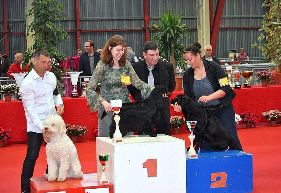 Publication : des Hauts de Clemalive