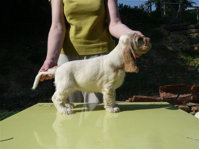 Publication : des Hauts de Clemalive