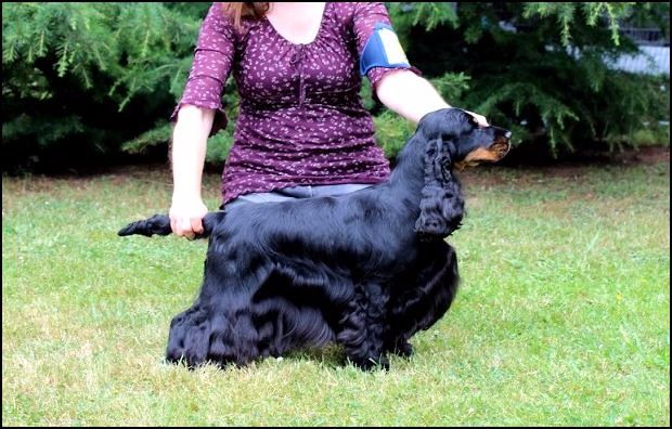 Publication : des Hauts de Clemalive