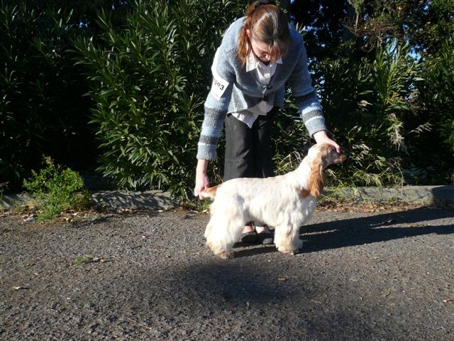 Publication : des Hauts de Clemalive