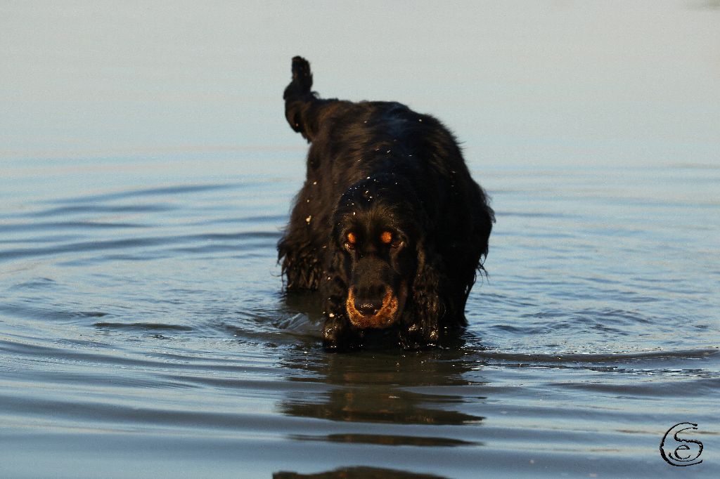 Publication : des Hauts de Clemalive