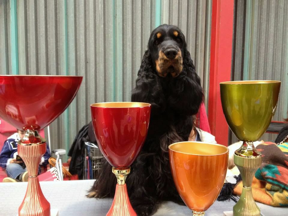 Publication : des Hauts de Clemalive