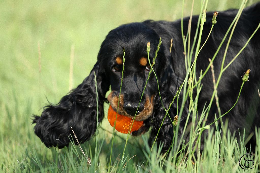 Publication : des Hauts de Clemalive