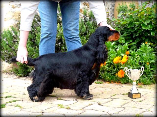 Publication : des Hauts de Clemalive