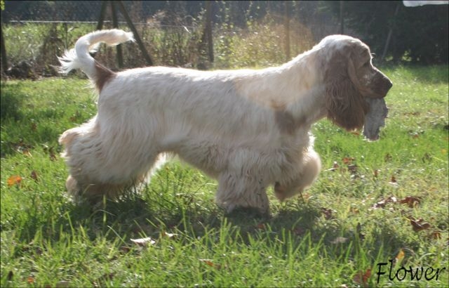 Publication : des Hauts de Clemalive