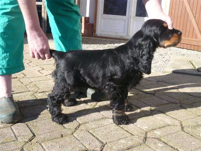 Publication : des Hauts de Clemalive