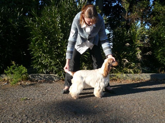 Publication : des Hauts de Clemalive