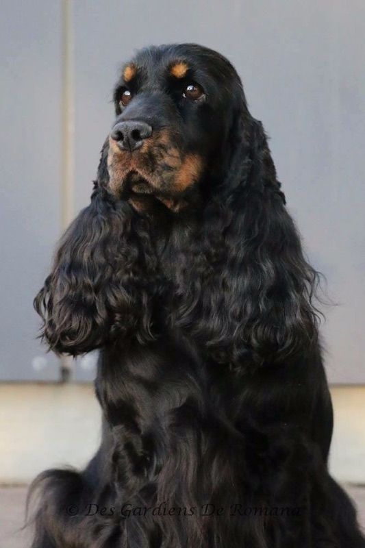 Publication : des Hauts de Clemalive