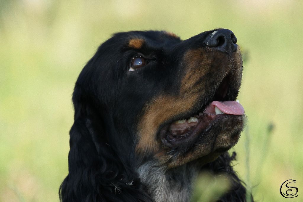 Publication : des Hauts de Clemalive