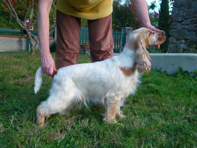 Publication : des Hauts de Clemalive