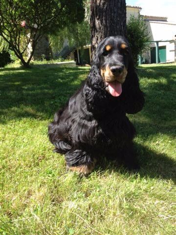 Publication : des Hauts de Clemalive