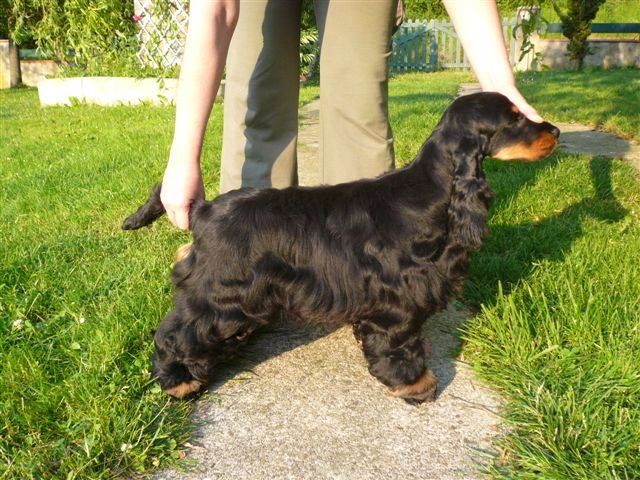 Publication : des Hauts de Clemalive