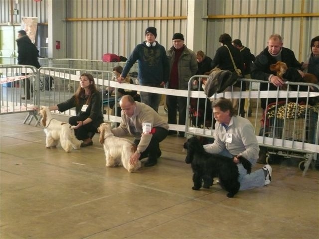 Flower des Hauts de Clemalive - 1er Excellent + Meilleur Jeune