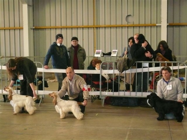 Flower des Hauts de Clemalive - 1er Excellent