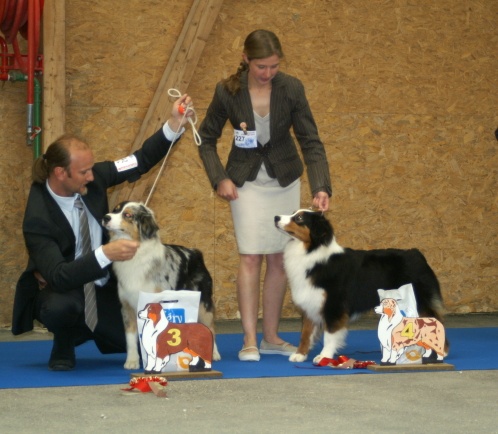 CH. Dreaming night shadow des Chemins Cathares - 4ème Excellent classe intermédiaire