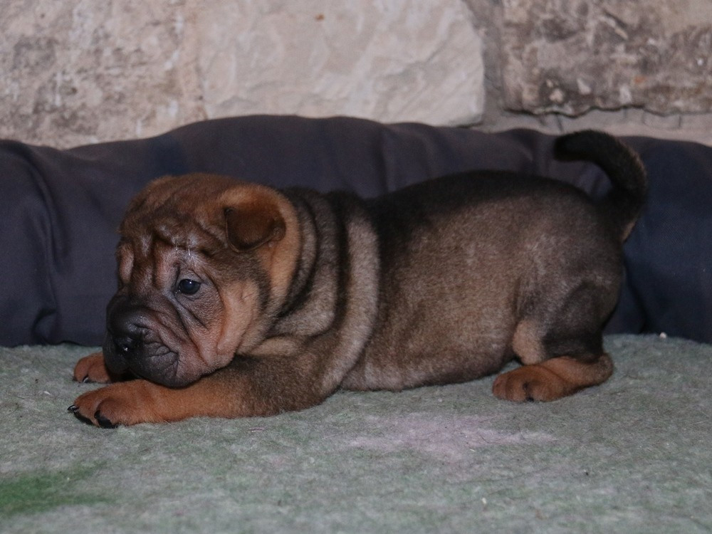 A... du Bouquet d'Epices