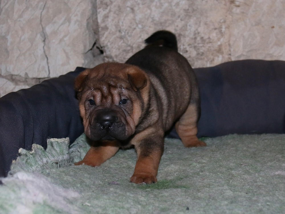 A... du Bouquet d'Epices