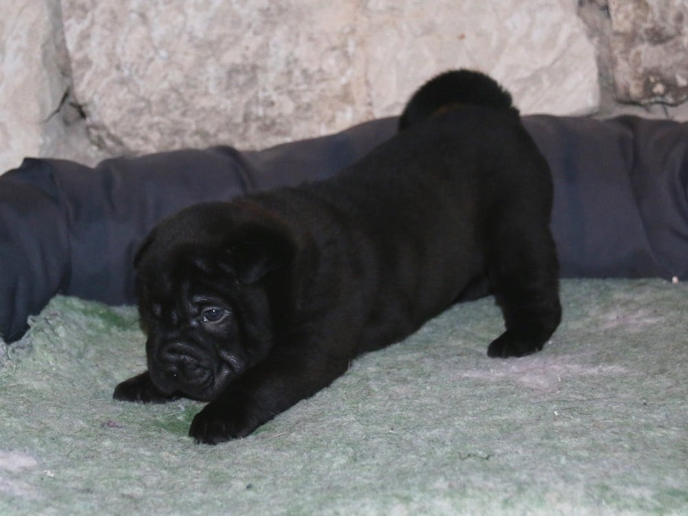 A... du Bouquet d'Epices