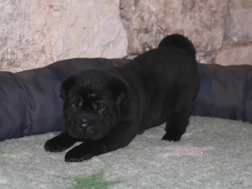 A... du Bouquet d'Epices