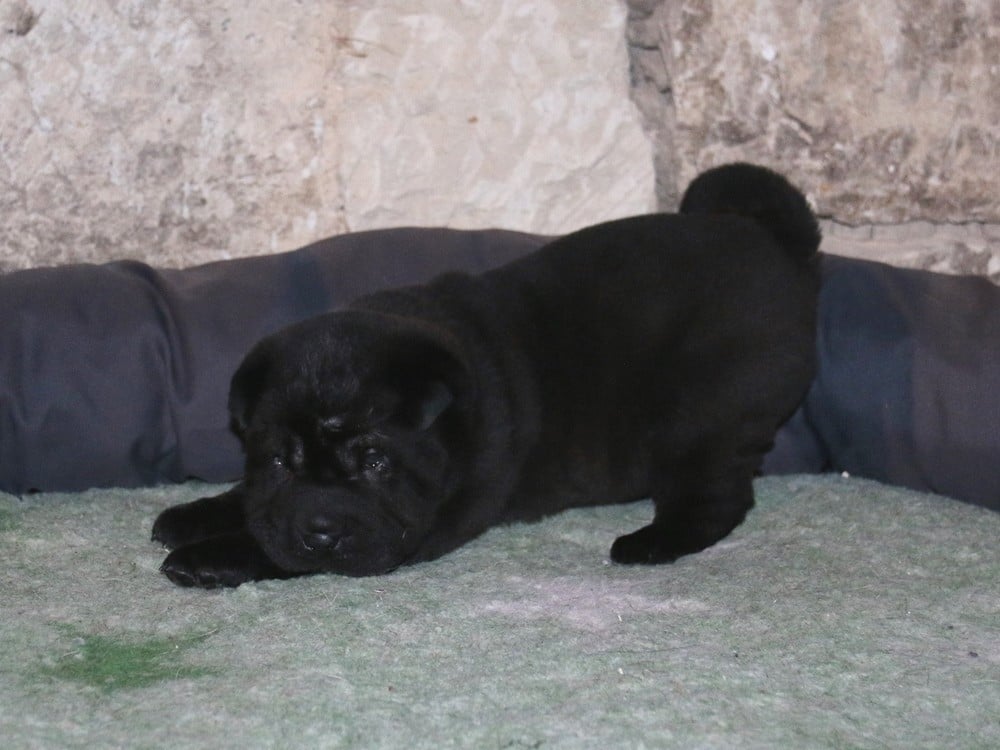 A... du Bouquet d'Epices