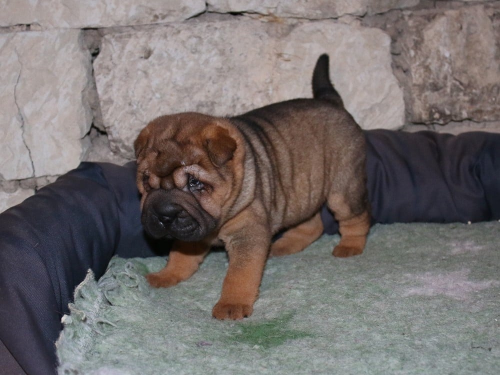 A... du Bouquet d'Epices