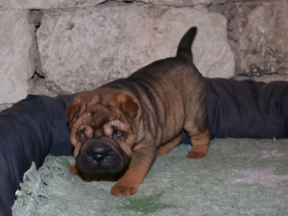 A... du Bouquet d'Epices