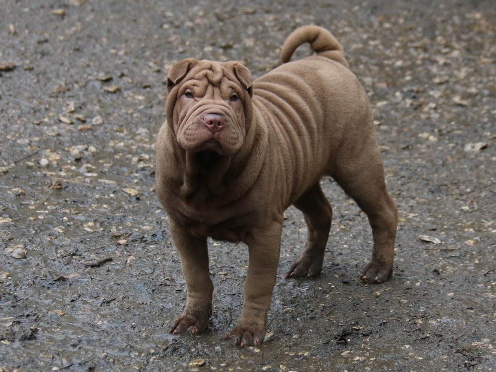 A Moi la Surprise Kinder Du Bouquet d'Epices