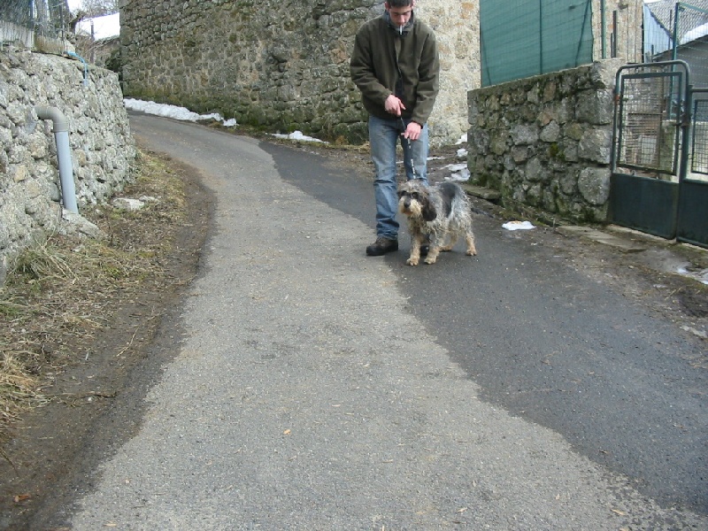 Publication : des Hurleurs de Randon Auteur : valette didier