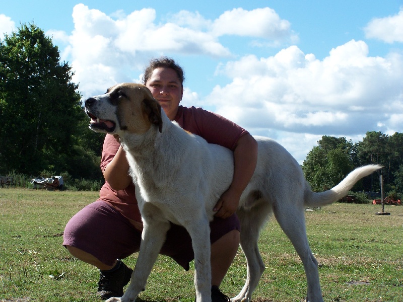 Publication : des gardiens des etoiles