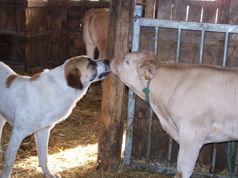 Publication : des gardiens des etoiles
