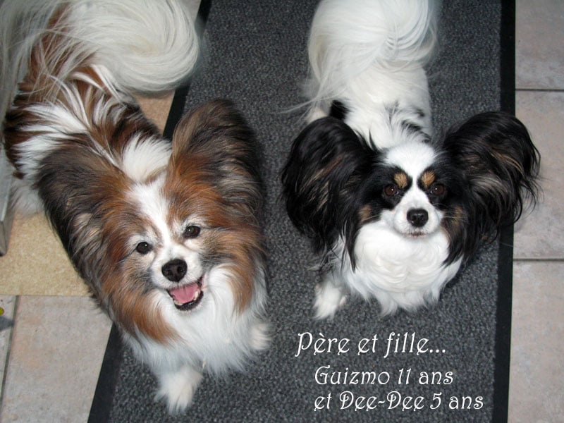 De Majolian Dee-dee jolie