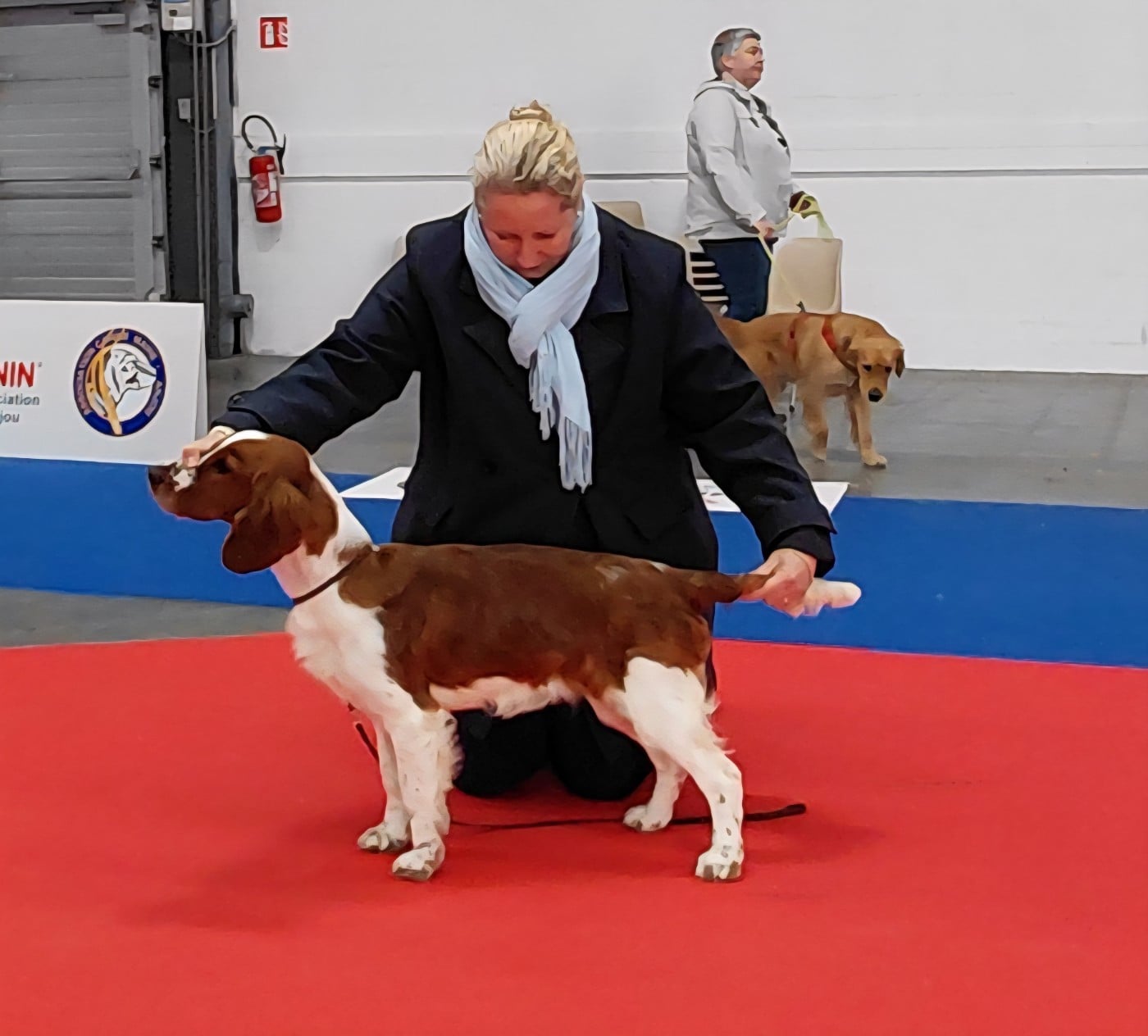 Publication : des Hauts de L'Espinouse Auteur : Emma Grajwoda