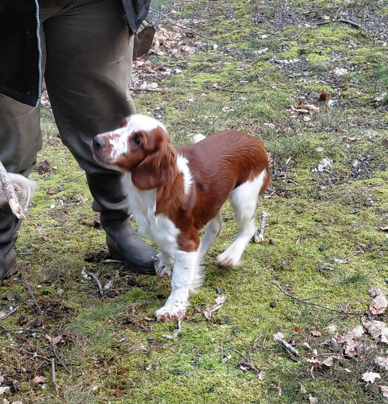 Publication : des Hauts de L'Espinouse Auteur : Véronique Villeneuve Grajwoda