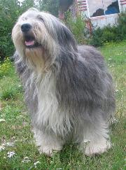 Publication : du Clos de L'Igloo