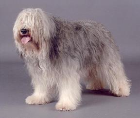 Publication : du Clos de L'Igloo