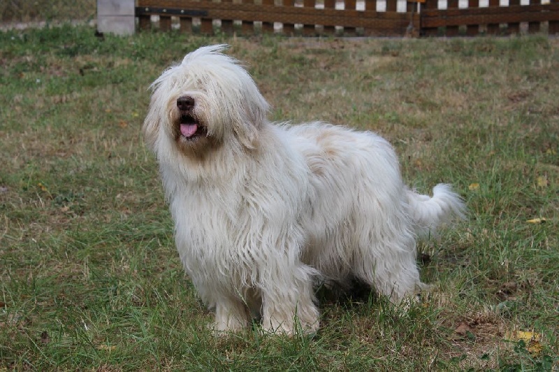 Publication : du Clos de L'Igloo