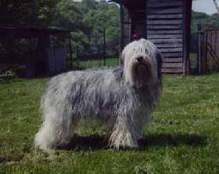 Publication : du Clos de L'Igloo