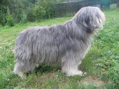 Publication : du Clos de L'Igloo