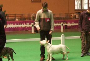 CH. Thud and cuddles That's all right -