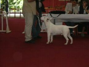 CH. Thud and cuddles That's all right -