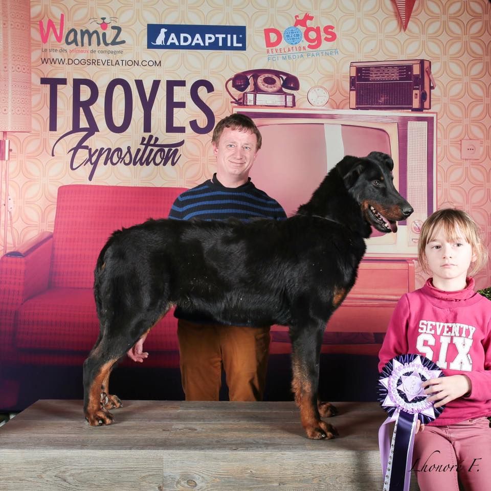 Publication : de la Noé d'Orient Auteur : La Noé d'Orient