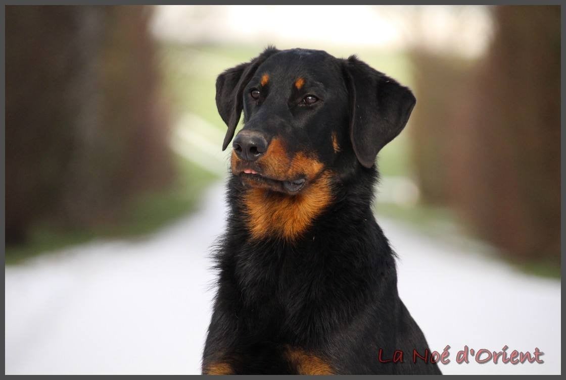 Apéroooooo de la Noé d'Orient