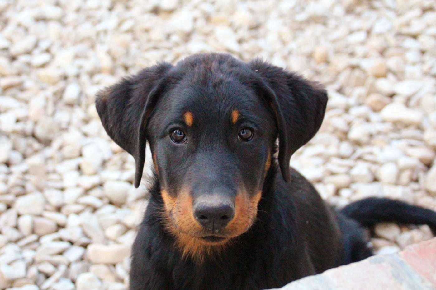 Apéroooooo de la Noé d'Orient