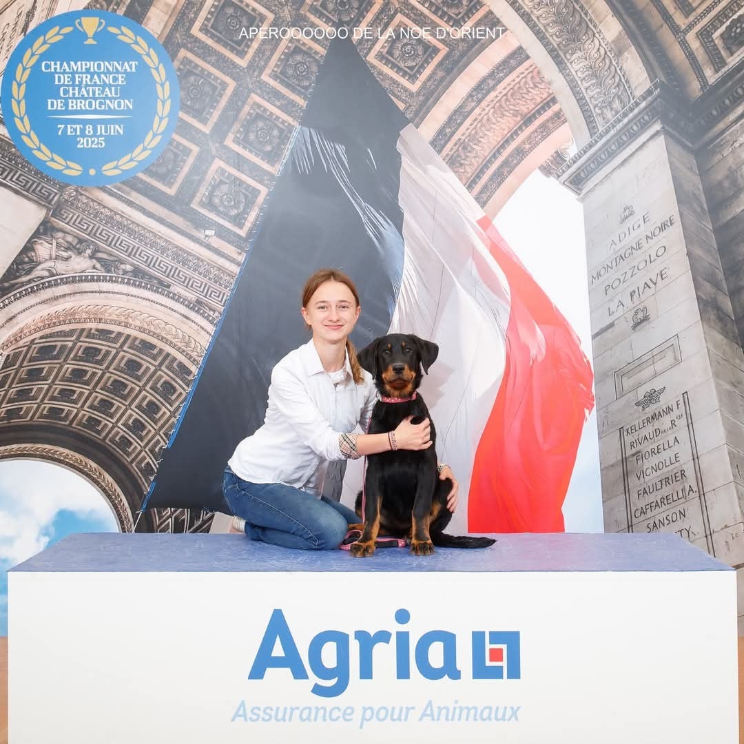 Apéroooooo de la Noé d'Orient