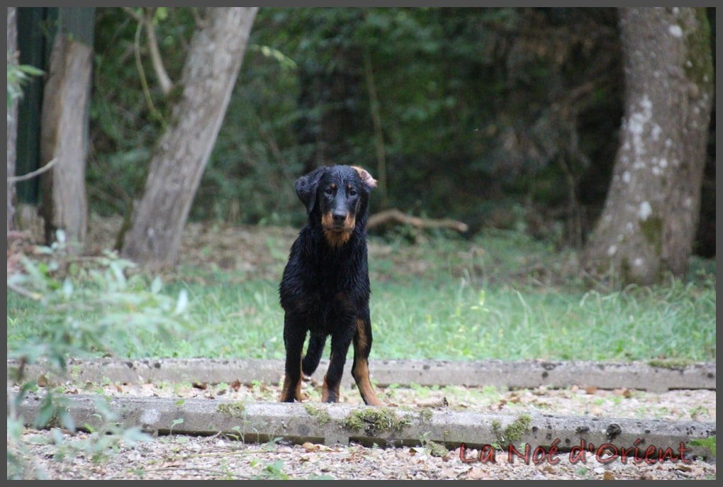 Apéroooooo de la Noé d'Orient